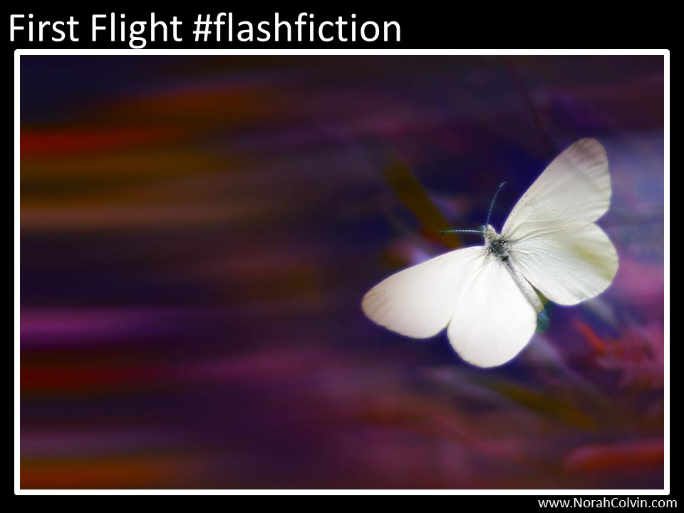First Flight #flashfiction