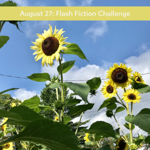 Carrot Ranch - Lemon Queens