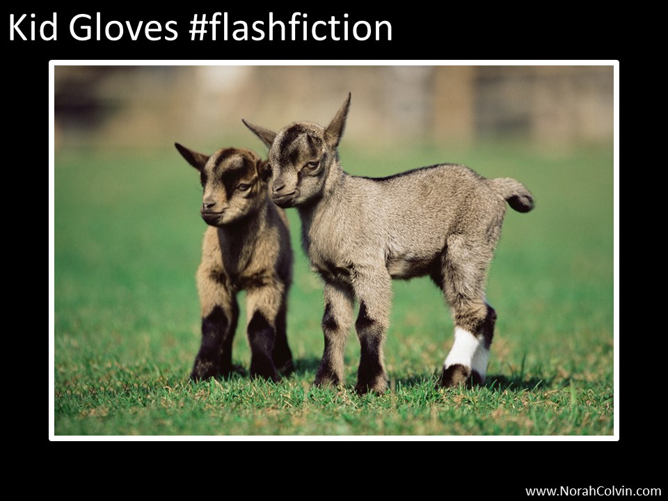 Kid Gloves #flashfiction