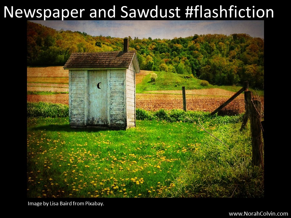 Newspaper and Sawdust
