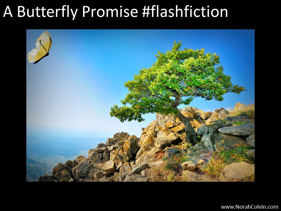 A Butterfly Promise&nbsp;#flashfiction
