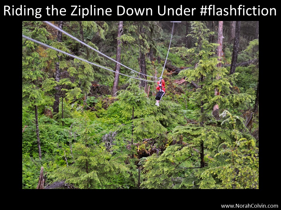 flash fiction Riding the Zipline Down Under
