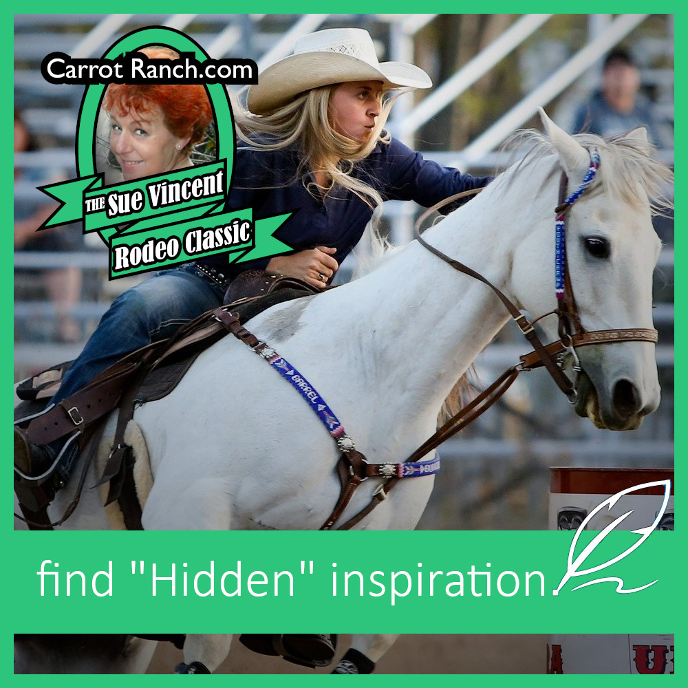 The Sue Vincent Rodeo&nbsp;Classic