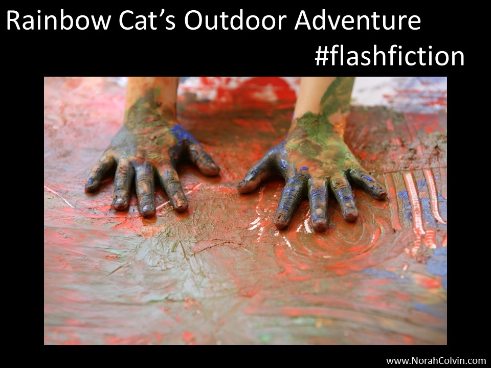 Rainbow Cat’s Outdoor&nbsp;Adventure