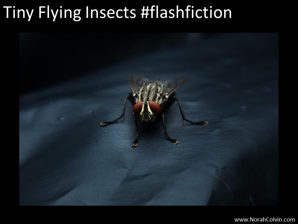Tiny Flying Insects&nbsp;#flashfiction
