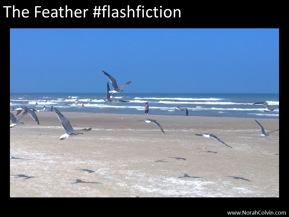 The Feather #flashfiction