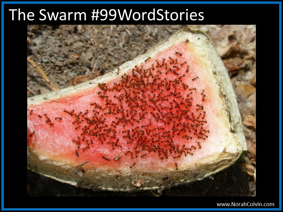 The Swarm #99WordStories