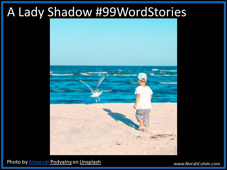 A Lady Shadow&nbsp;#99WordStories
