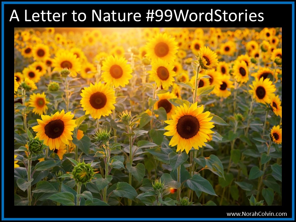 Letter to Nature&nbsp;#99WordStories