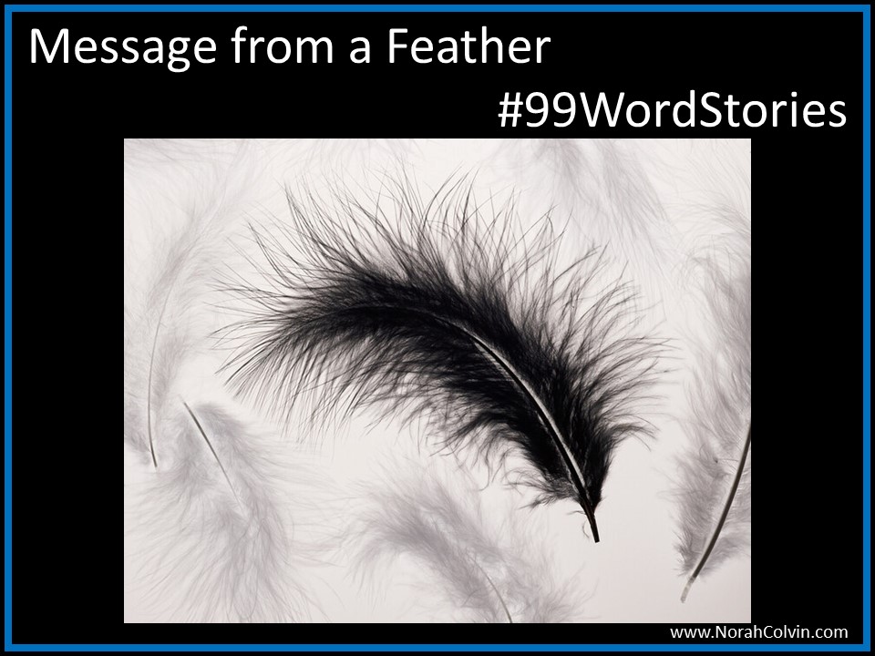 Message from a Feather&nbsp;#99WordStories