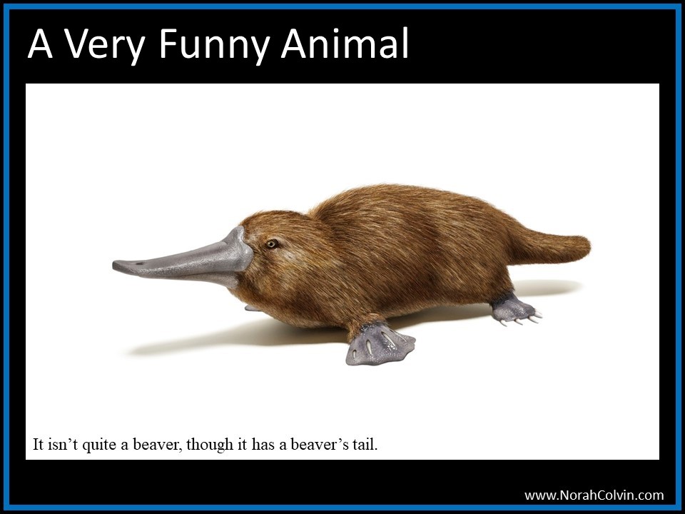 My poem ‘A Very Funny Animal’ is poem of the&nbsp;day!