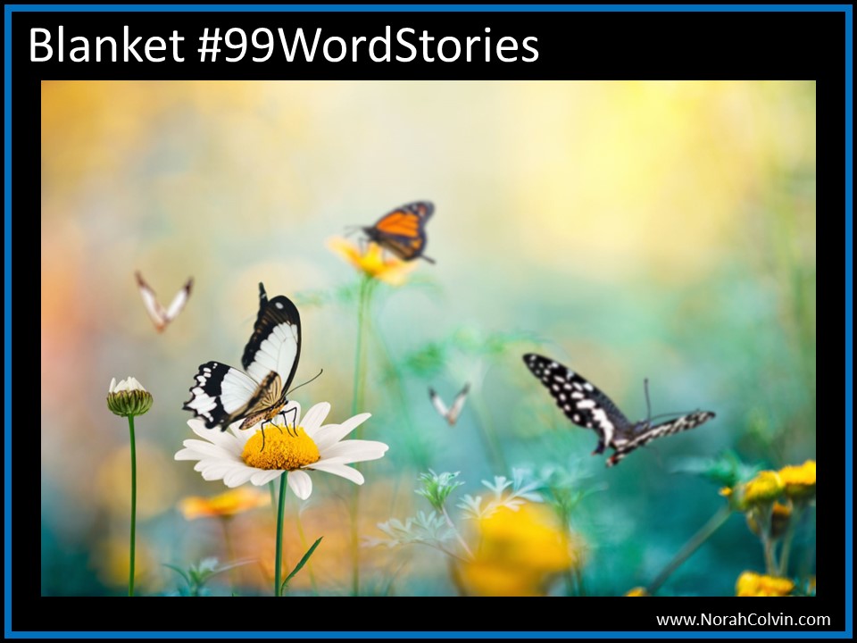 Blanket #99WordStories