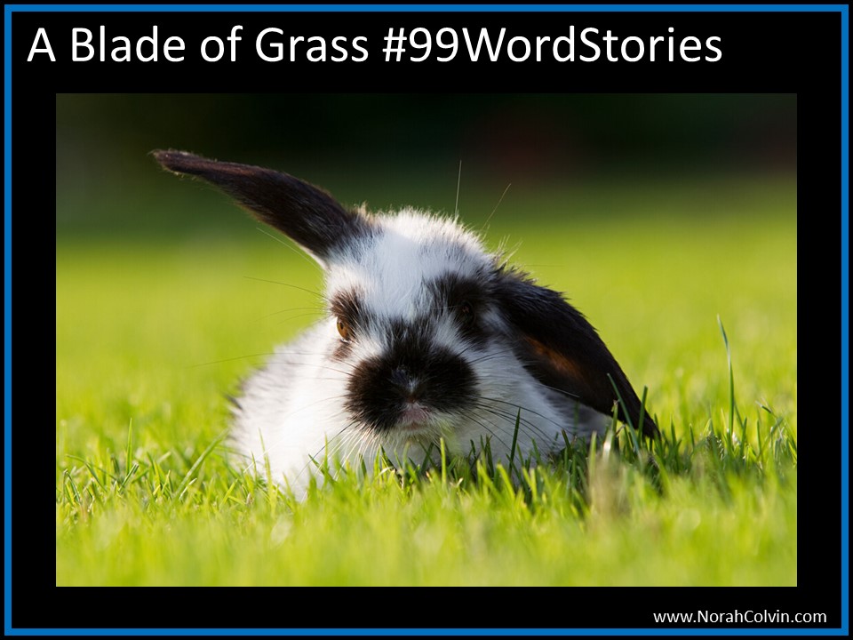 A Blade of Grass&nbsp;#99WordStories