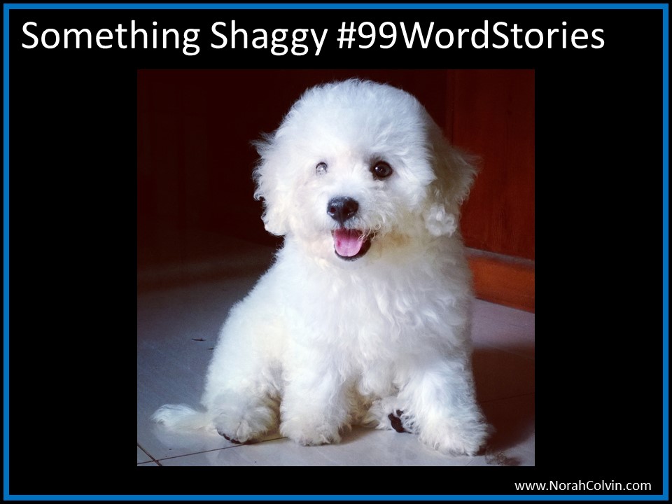 Something Shaggy #99Word&nbsp;Stories